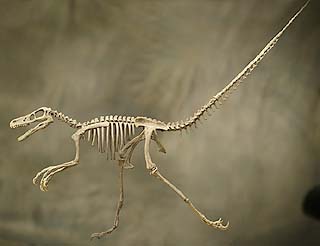 Courtesy of the Royal BC Museum 