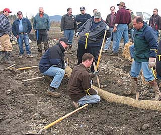  coir log and straw wattle 