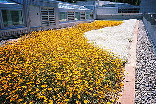  Evergreen State College