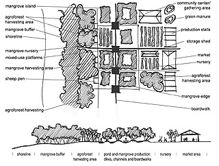  aquaculture plan